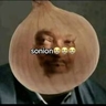 Sonions