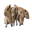 CAPY