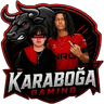 Karaboğa Gaming