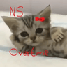 NS Overtime