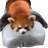 Panda Did It All
